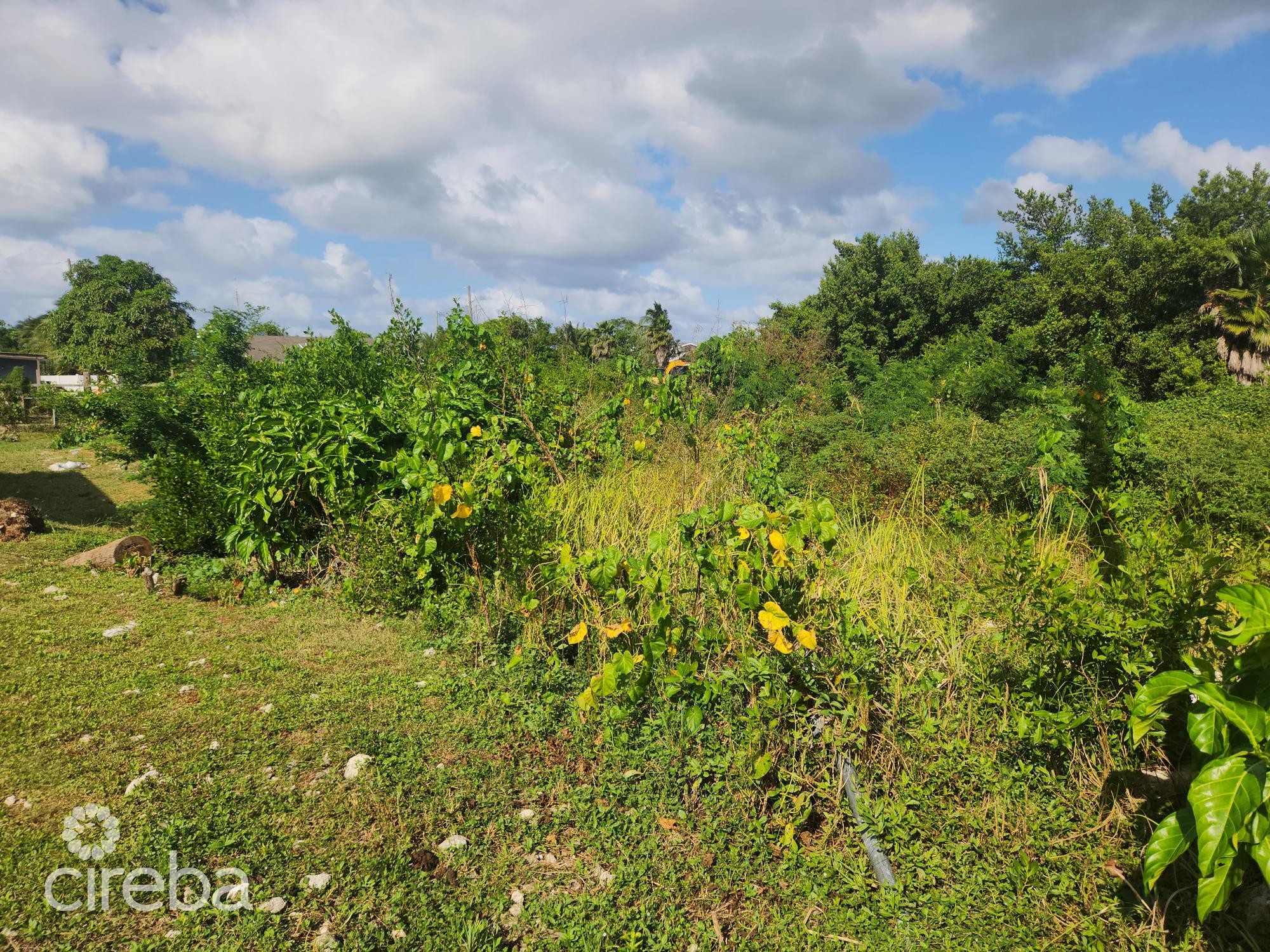 MIDLAND ACRES HOUSE LOT – BRING OFFERS!