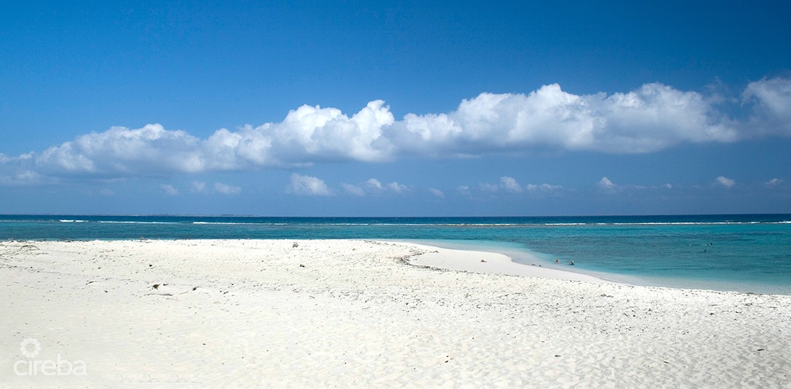LOT NEAR POINT OF SAND – OWNER FINANCING AVAILABLE