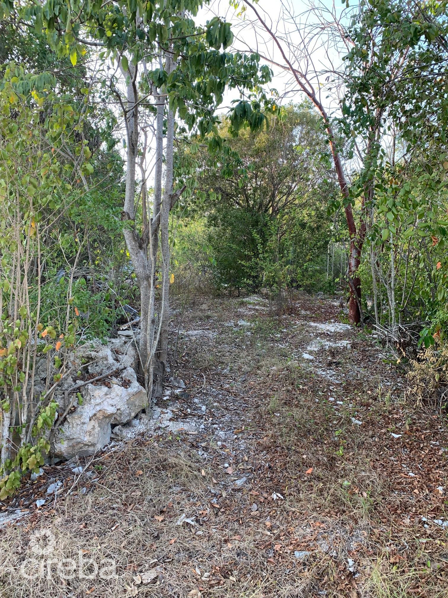 BRAC INLAND PROPERTY WEST END