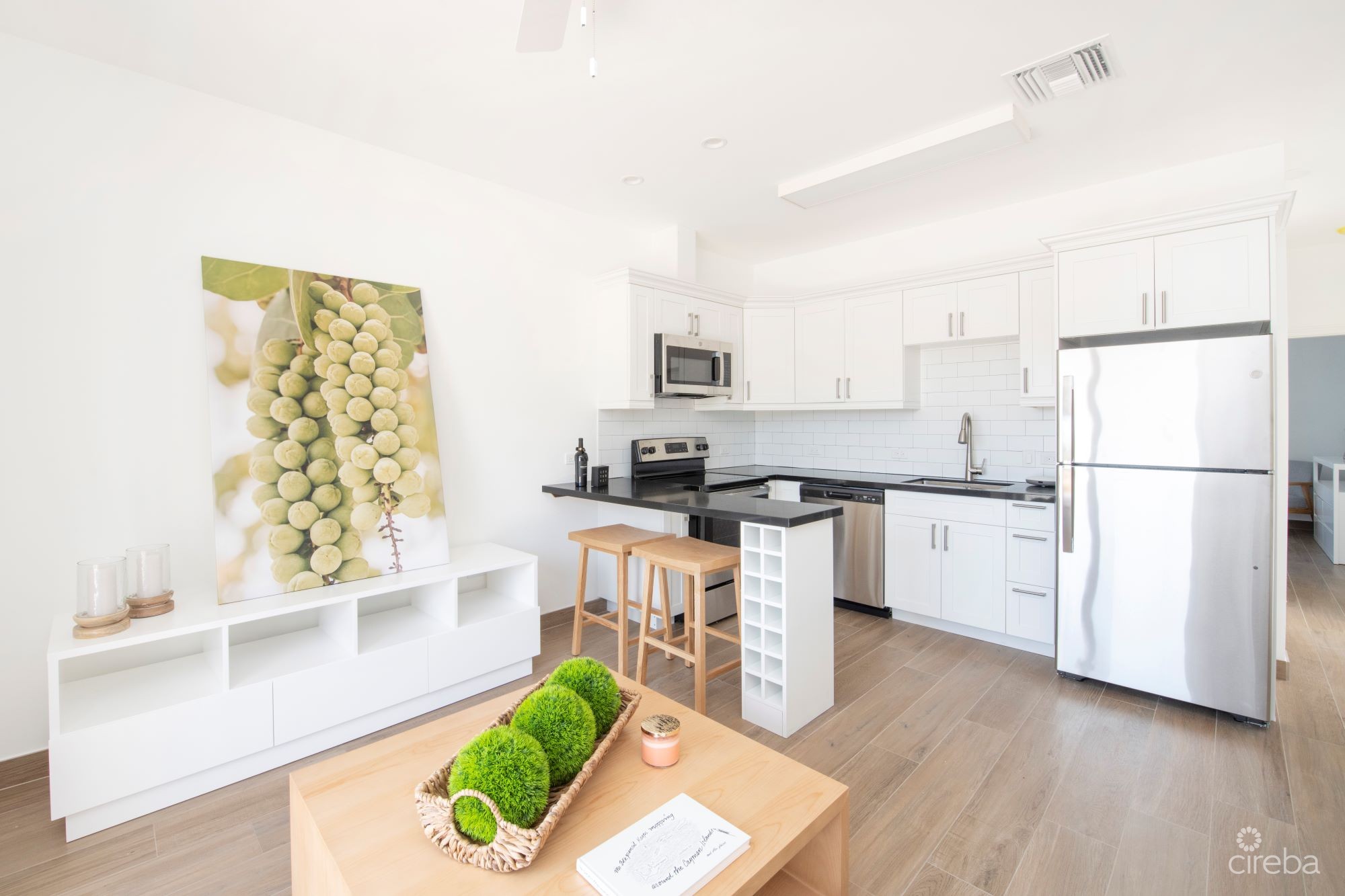 SEA MIST CONDOS UNIT 101 – DEVELOPER FINANCING