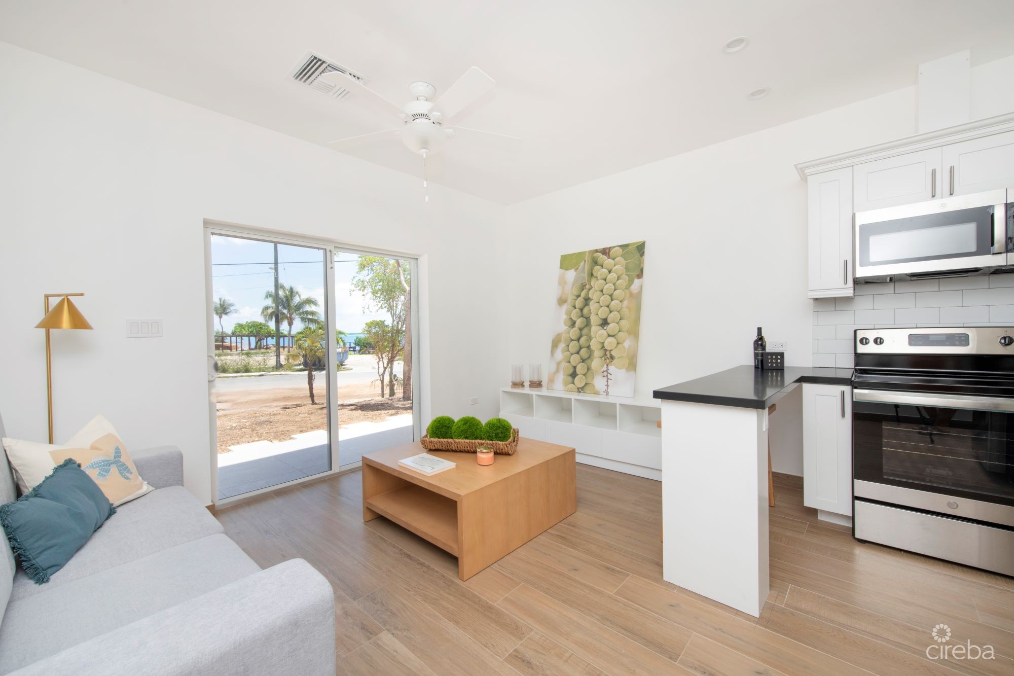 SEA MIST CONDOS UNIT 201 – DEVELOPER FINANCING