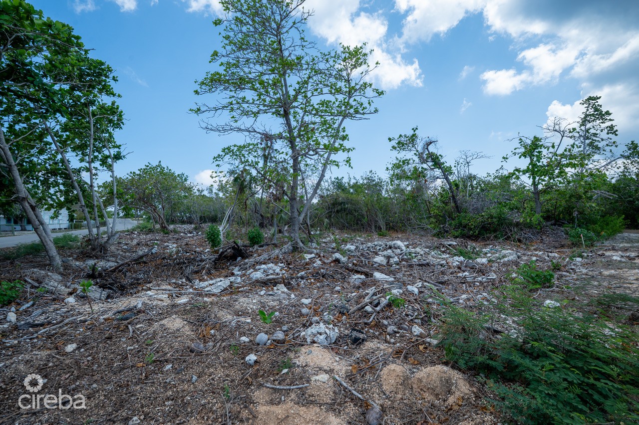CAYMAN BRAC LAND, RYAN DR.