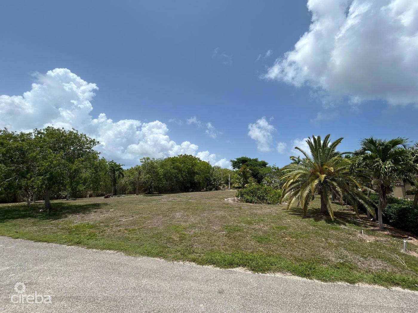 .46 ACRE LOT – FILLED & WELL-MAINTAINED  – LOWER VALLEY