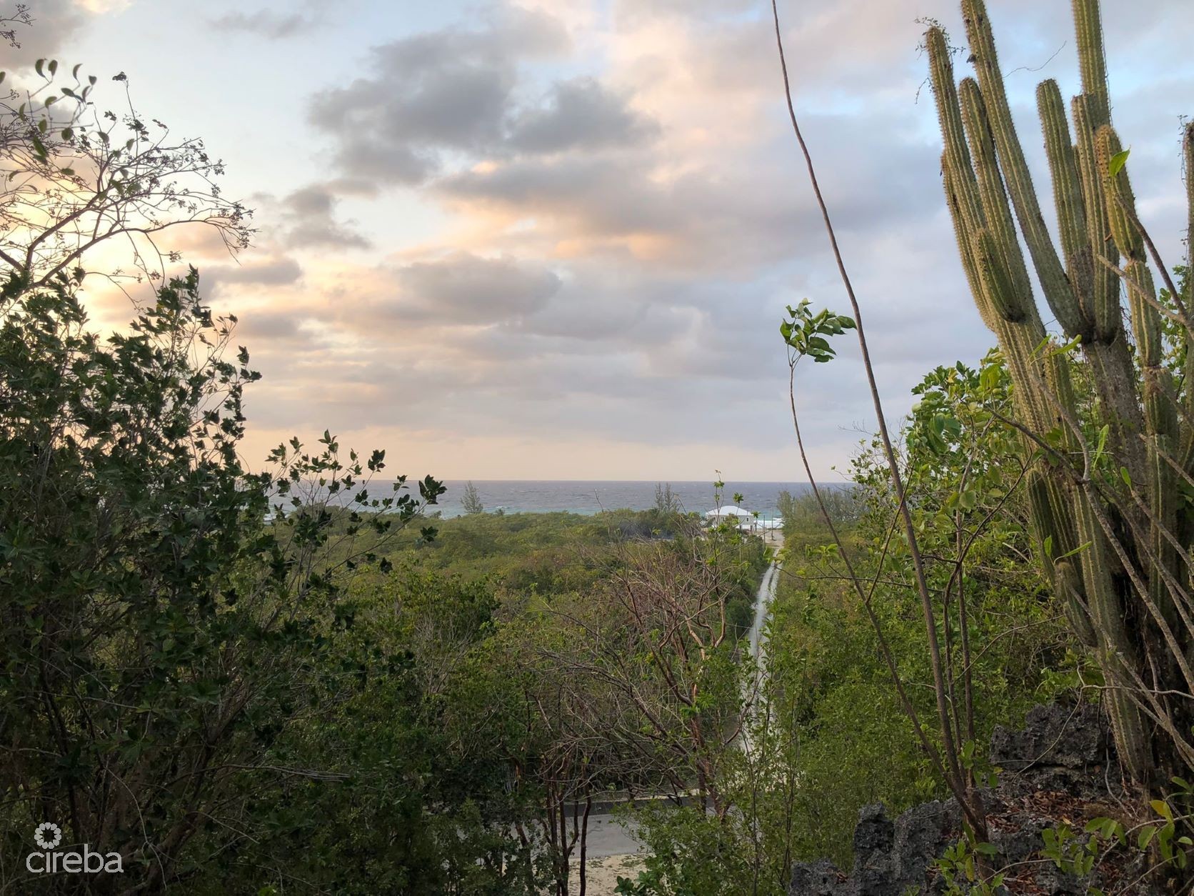 77 POLACK DRIVE, BRAC LAND