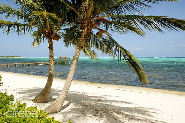 STUNNING OCEANFRONT LOT