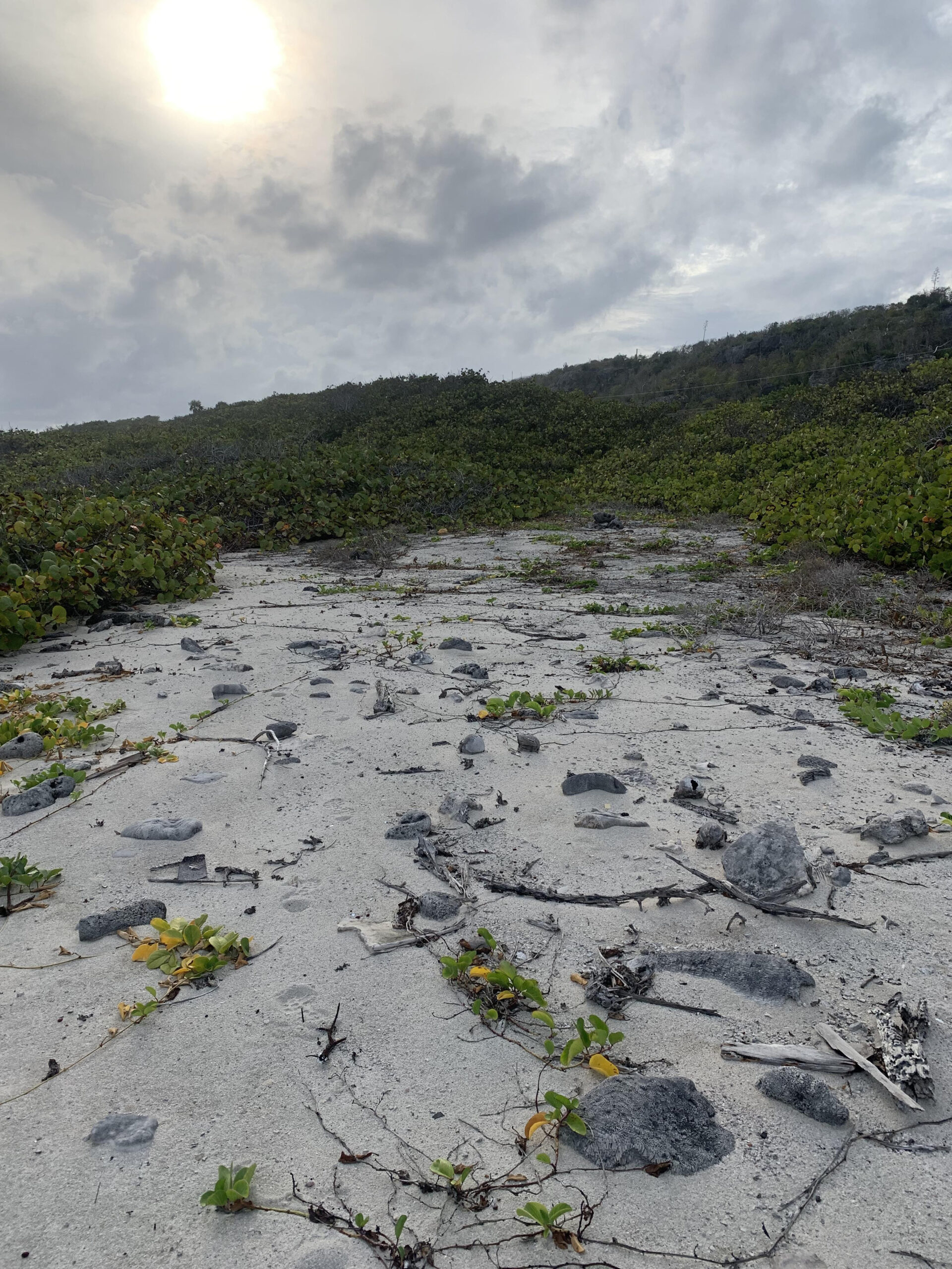 SOUTH SIDE OCEAN FRONT LAND