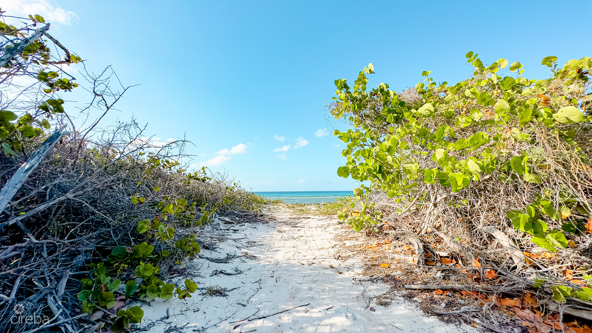 OCEANFRONT LAND LITTLE CAYMAN 