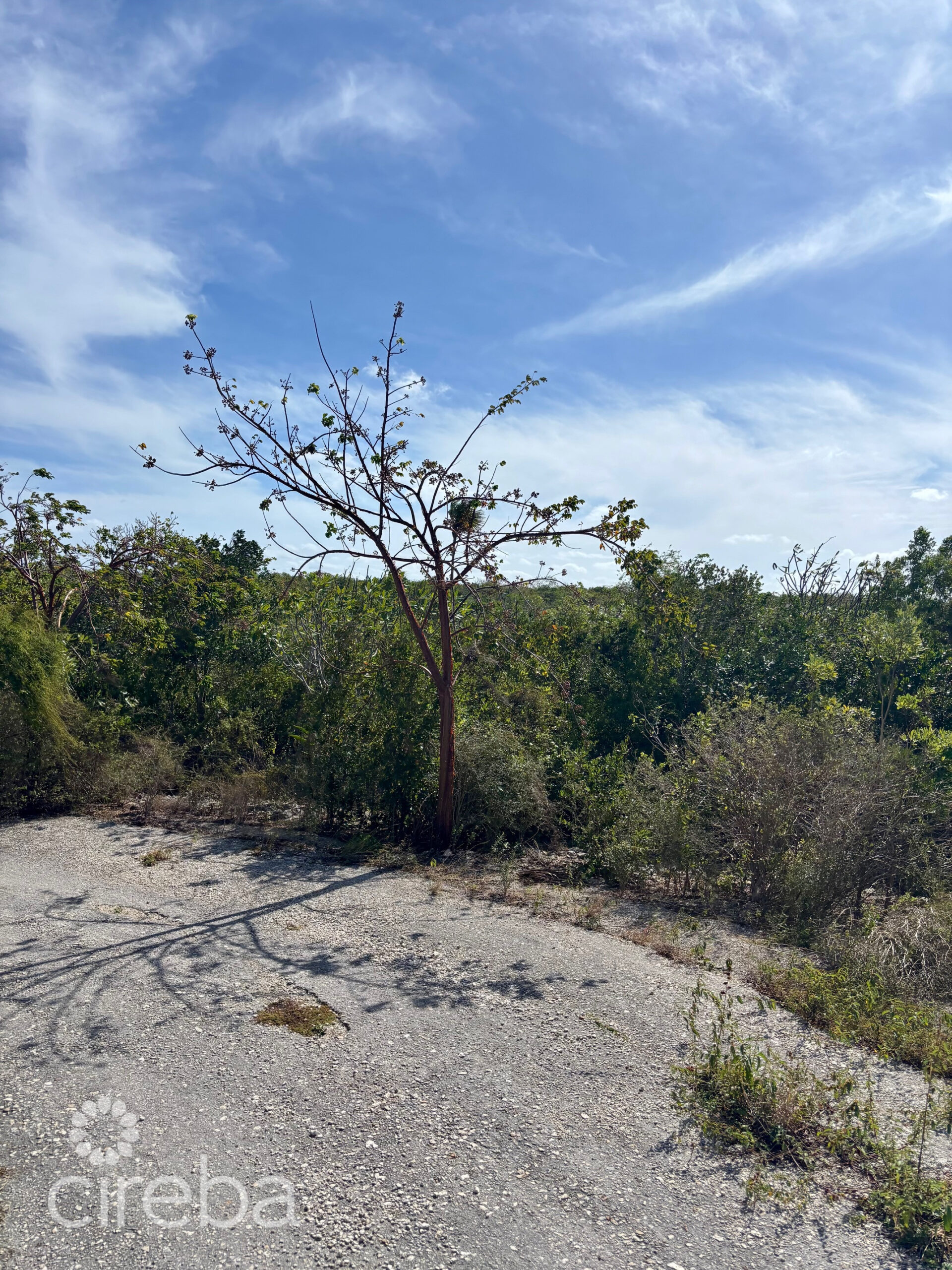 LITTLE CAYMAN EAST LOT – .5 ACRES