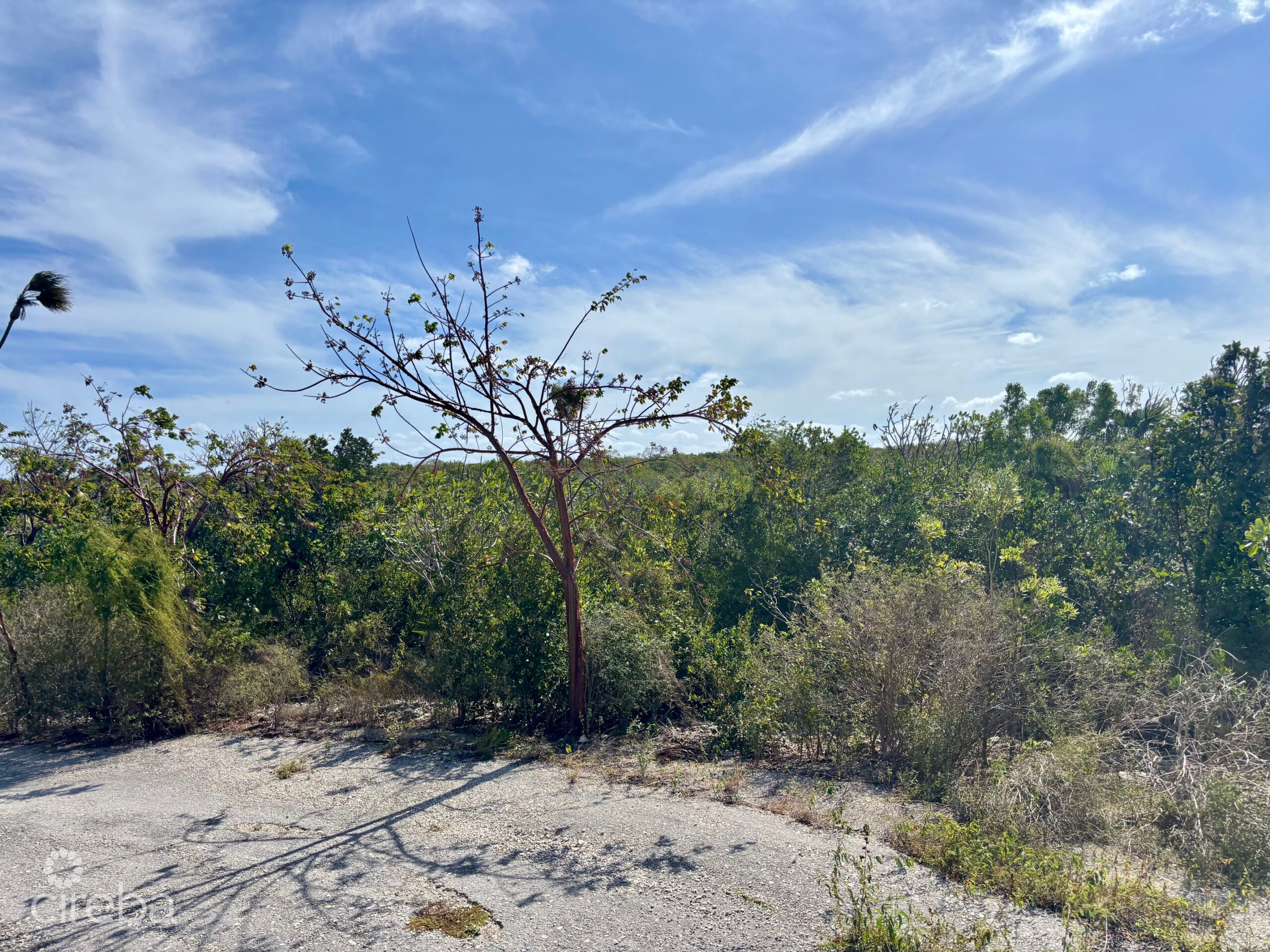 LITTLE CAYMAN EAST LOT – .5 ACRES