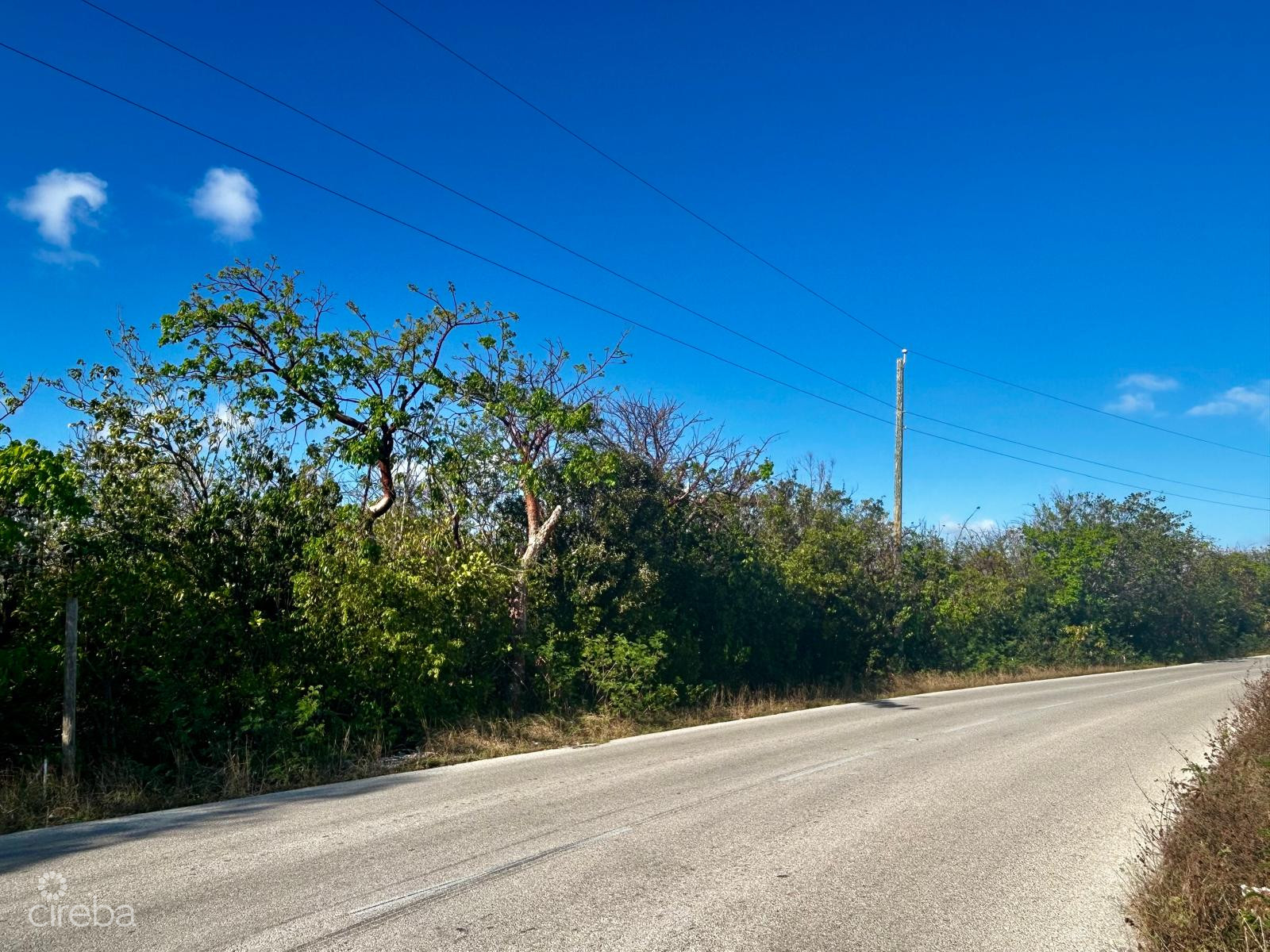 CAYMAN BRAC BLUFF LOT WITH FANTASTIC VIEWS