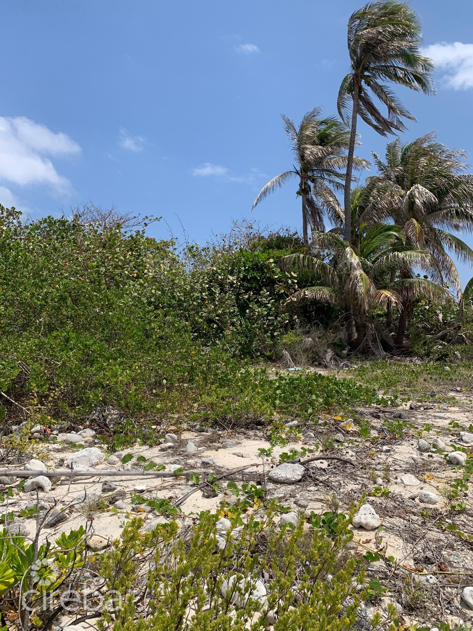 NORTHSIDE OCEAN FRONT AND INLAND PROPERTY