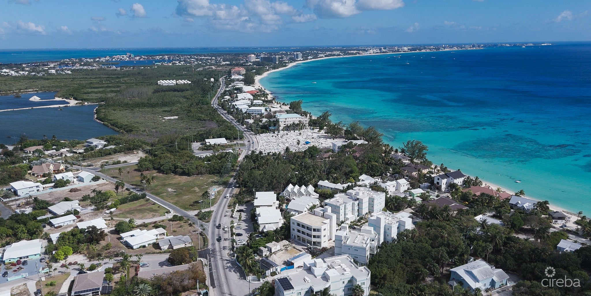 BOGGY SANDS CLUB CORAL 1