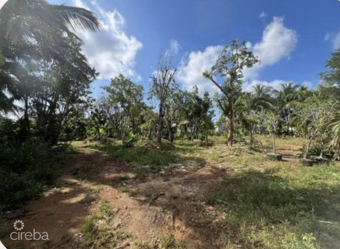 DEVELOPMENT OPPORTUNITY – HIGH & DRY LOT IN NORTHWARD –  .53 ACRES