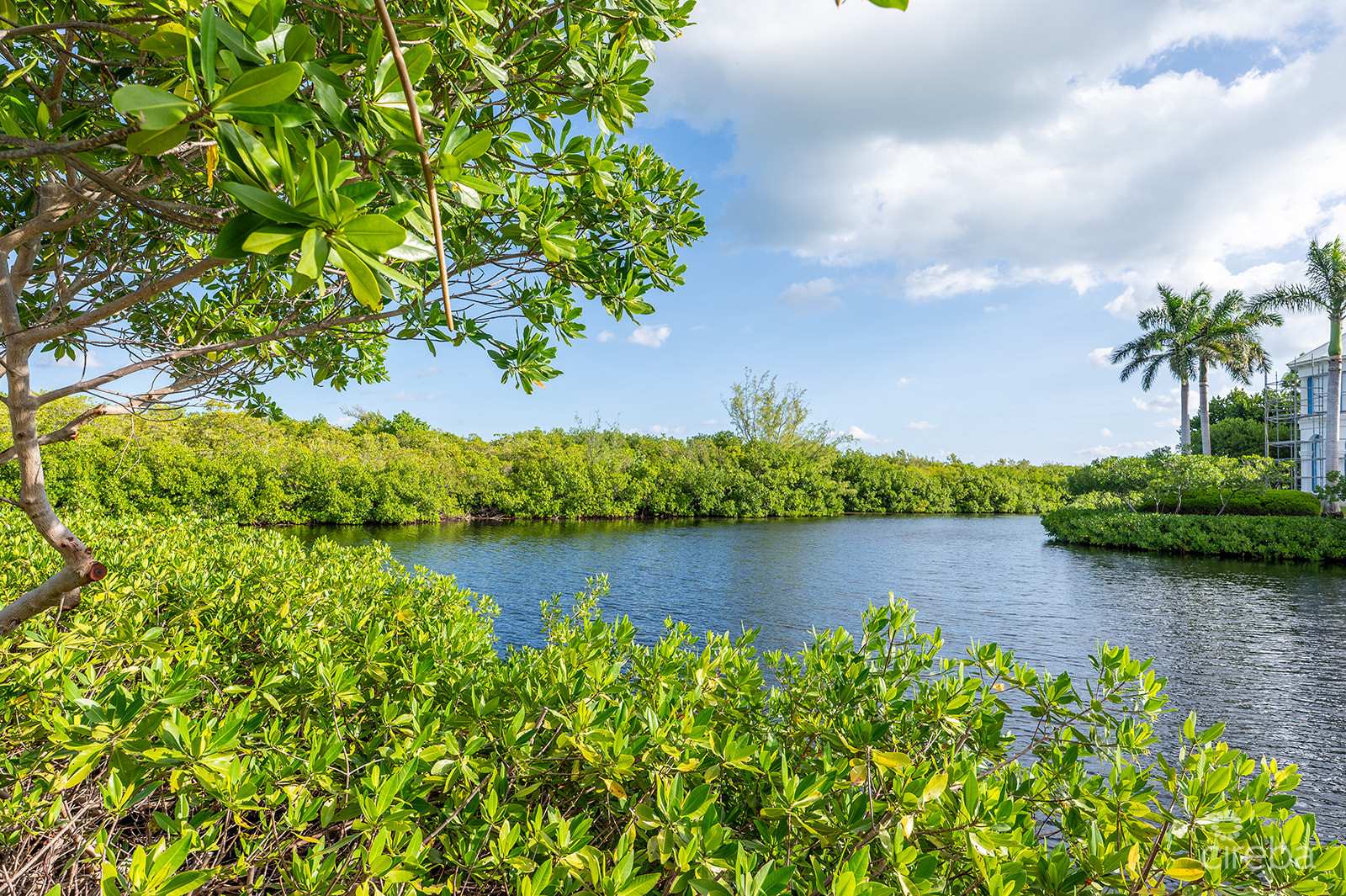 THE ORCHARD AT SALT CREEK | 32 CREEKSIDE COURT | A SALT CREEK ESTATE