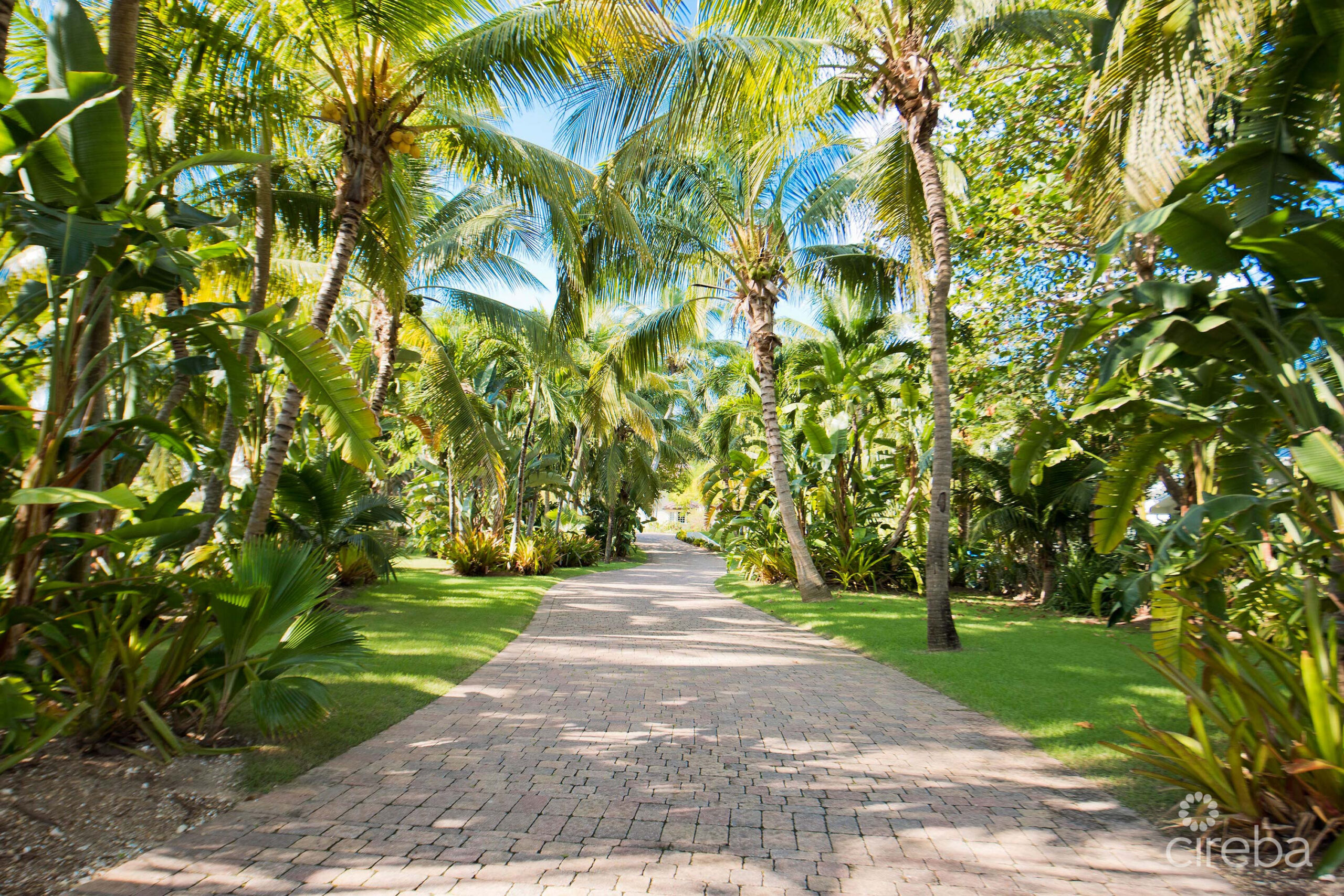 COCONUT WALK –  SEVEN MILE BEACH ESTATE