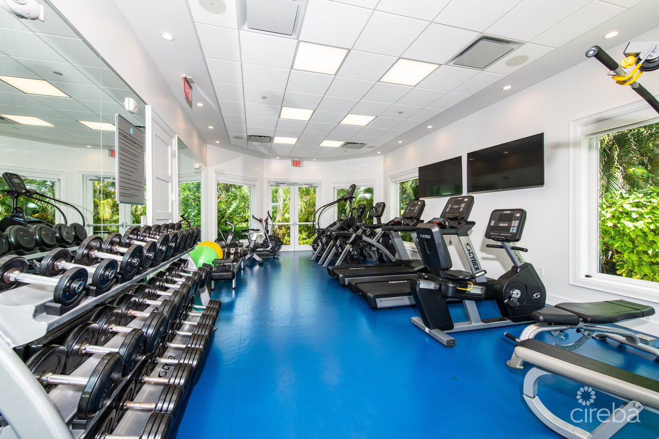 STONE ISLAND PHASE II – UNIT 1103 ASSIGNMENT