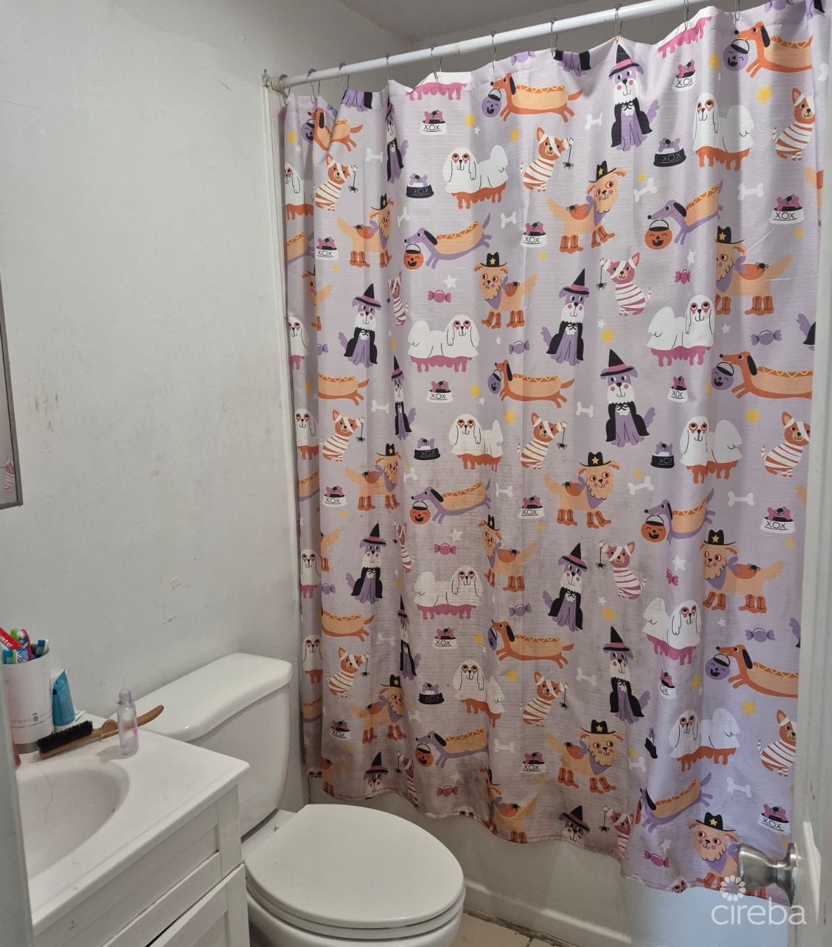 221 ANTHONY DR