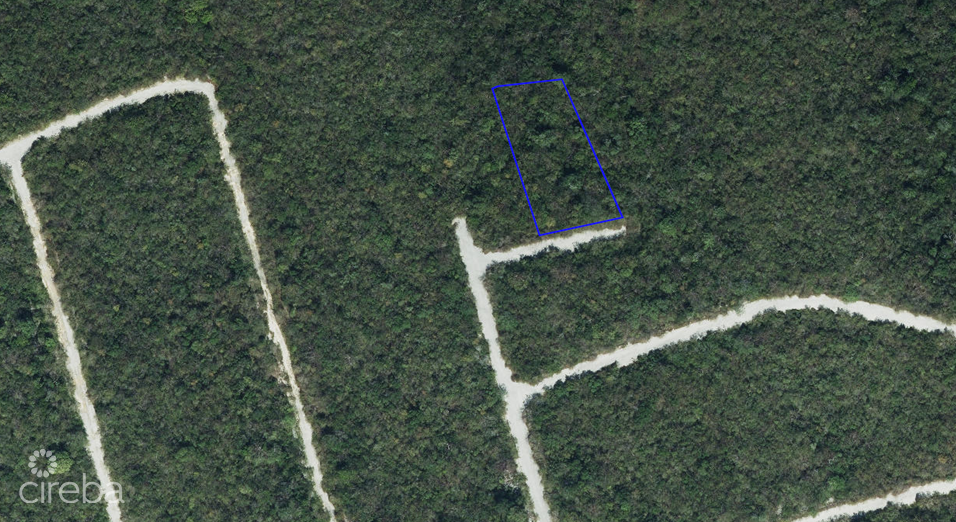 SELWORTHY GROVE    CAYMAN BRAC (LARGE  .37 ACRE LOT)