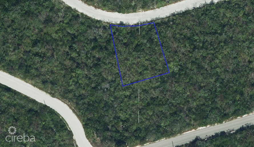 CAYMAN BRAC BLUFF HOUSE LOT (0 .2472 ACRE) 84′ ELEVATION