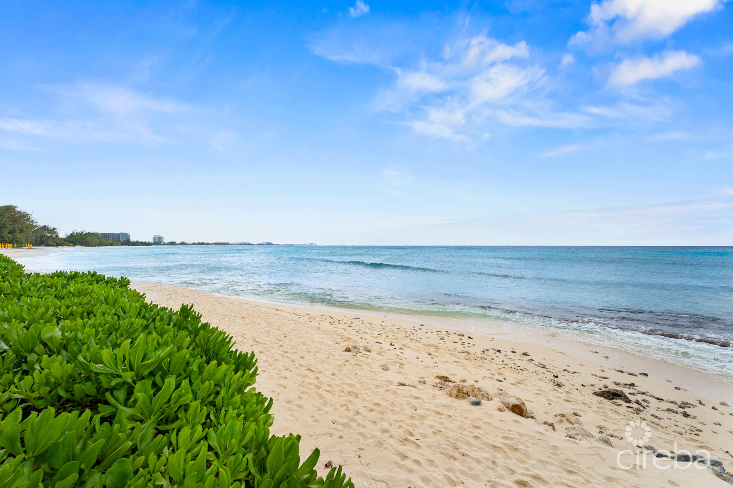 DISCOVERY POINT  PENTHOUSE  BEACHFRONT –  PROVEN INCOME GENERATOR