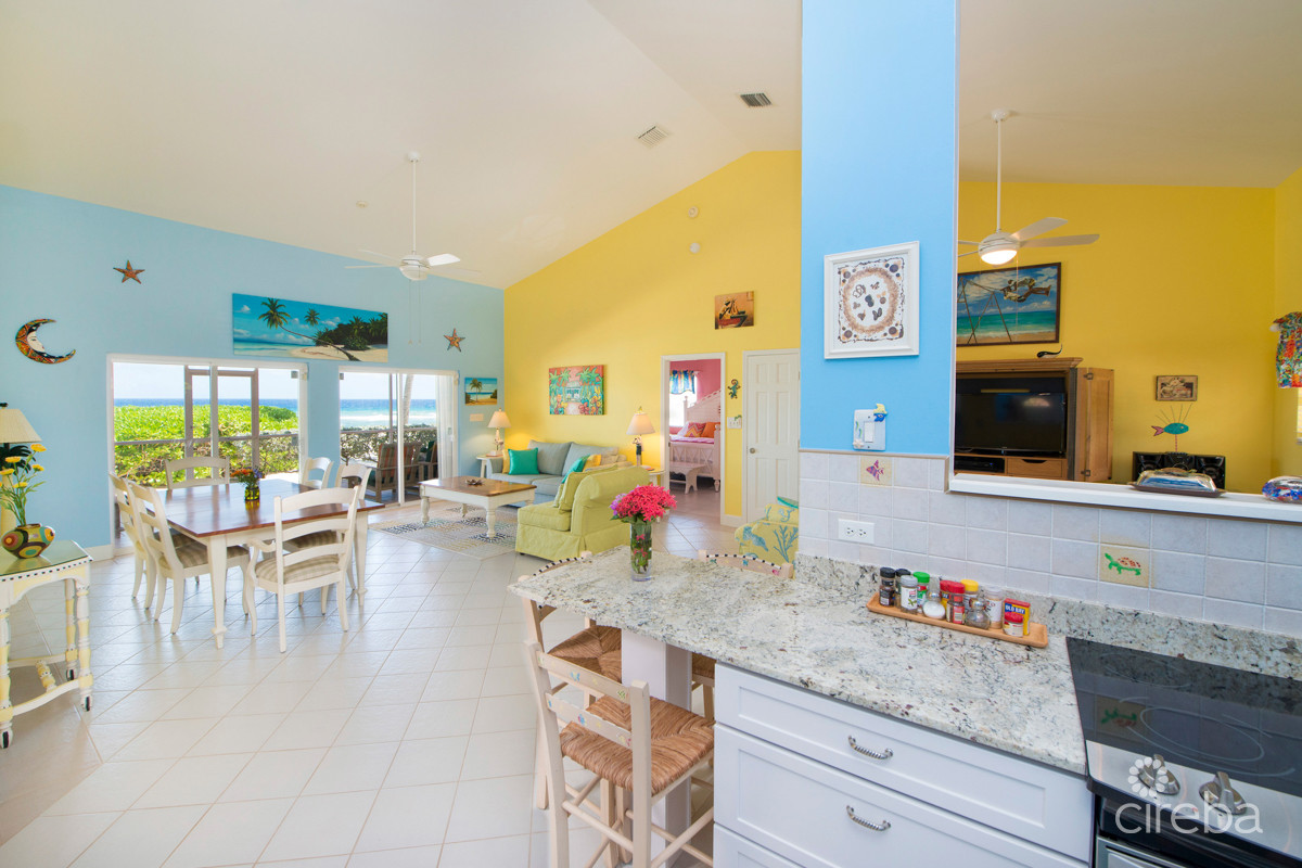 CAYMAN DREAM
