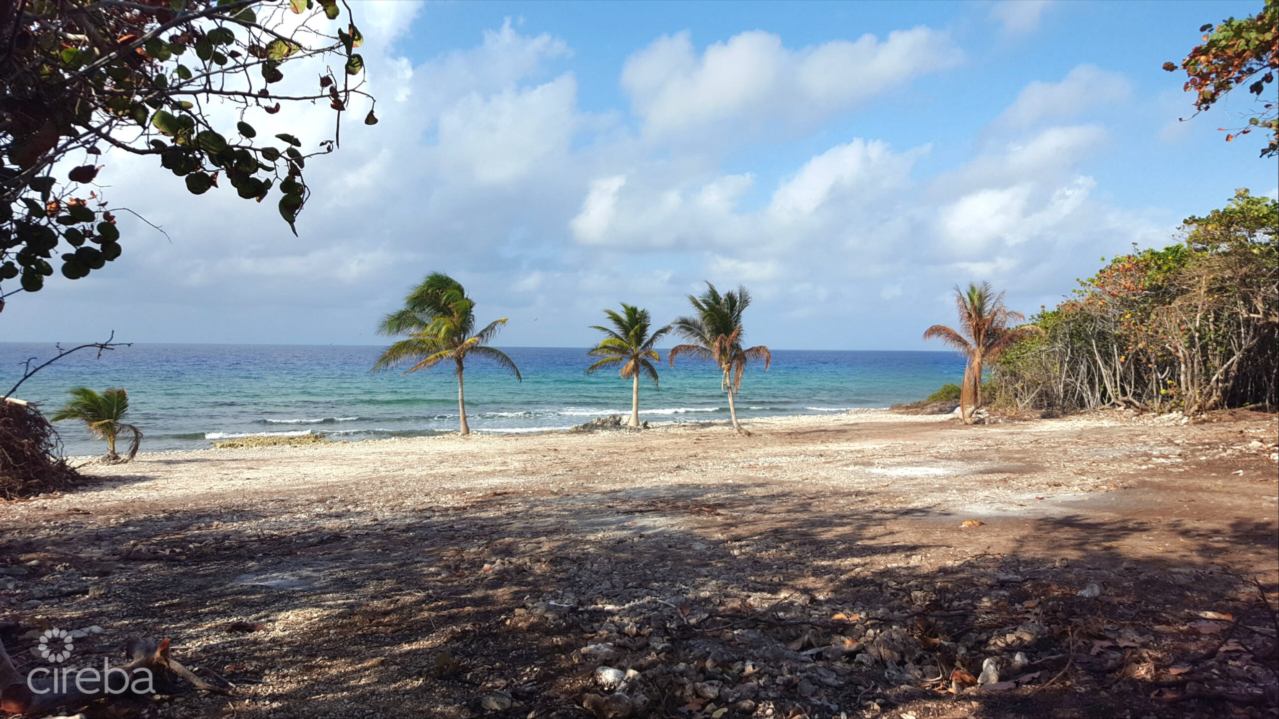 RARE 2.75-ACRE OCEANFRONT PARCEL ON THE NORTH SIDE OF CAYMAN BRAC – PRICE REDUCED!