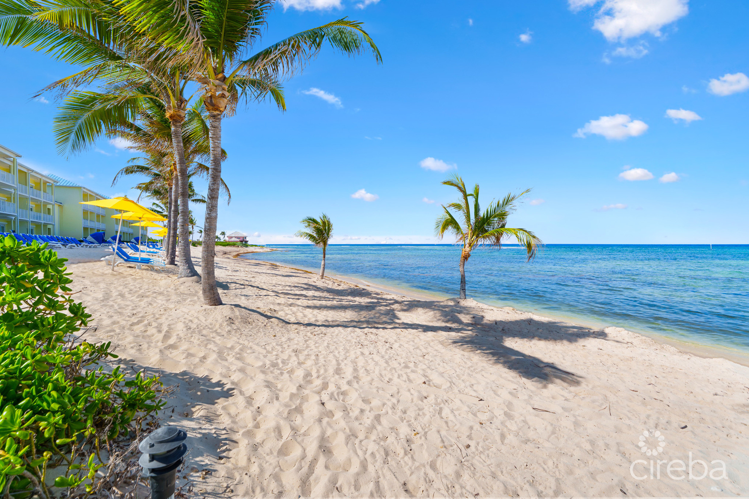 CASTAWAY COVE BEACHFRONT – 2 BED, 2 BATH, A AND B LOCK OFF UNIT