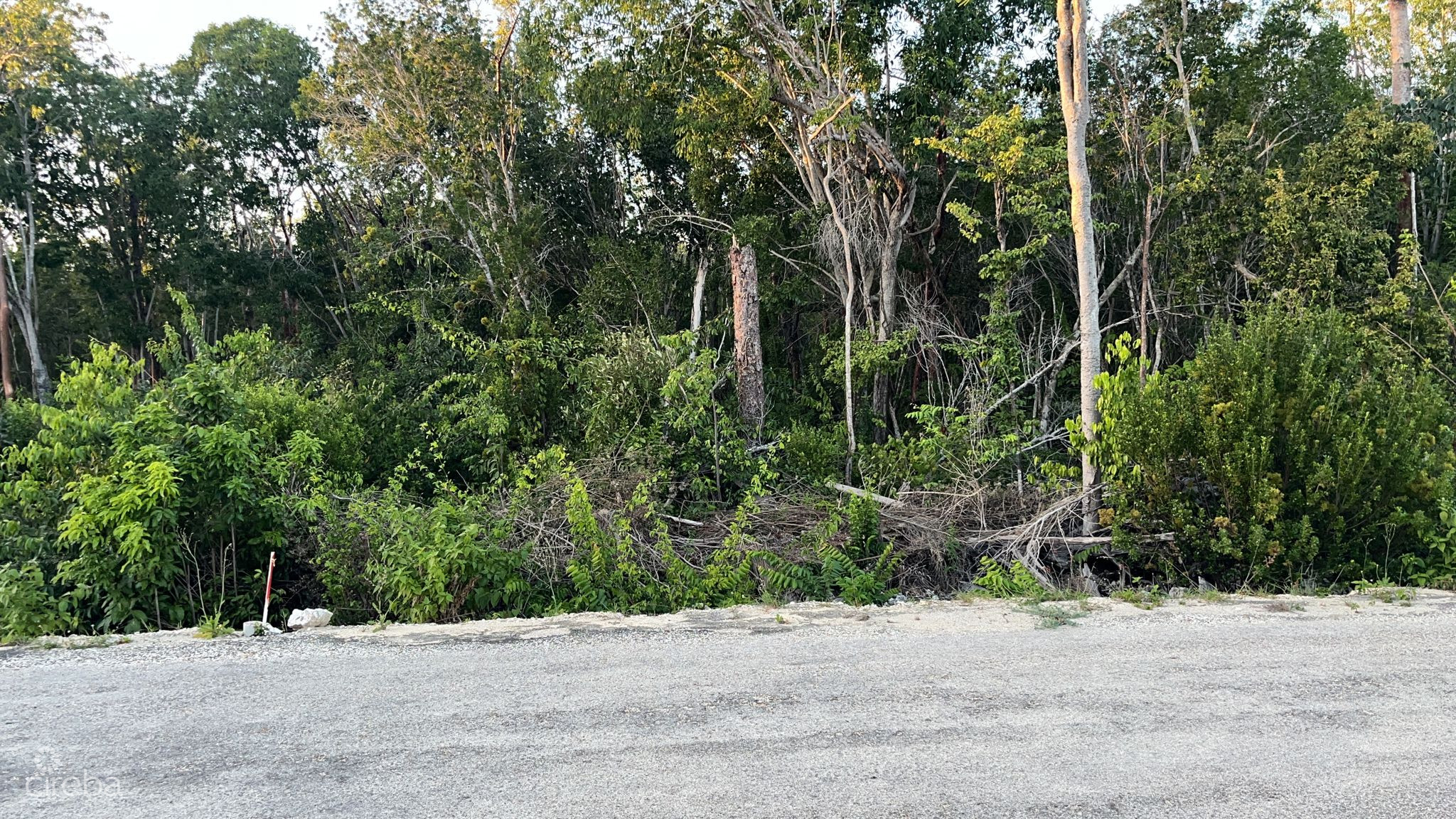 CAYMAN BRAC CENTRAL LAND