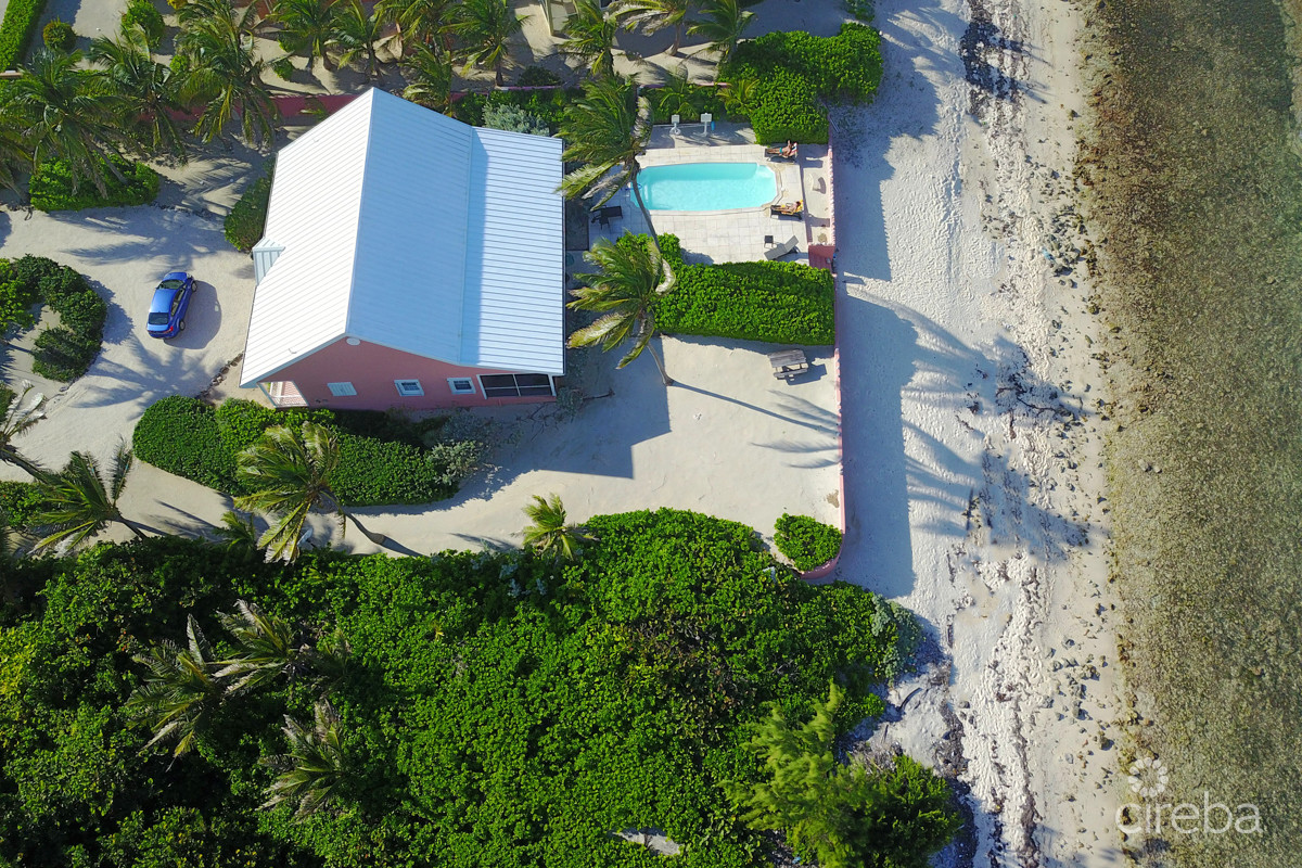 CAYMAN DREAM