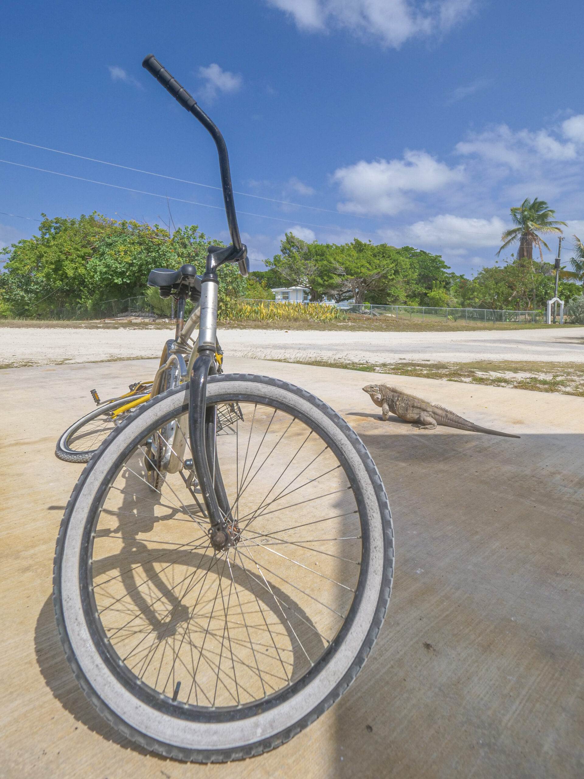 LITTLE CAYMAN LAND 2.5 ACRES – BY AIRPORT