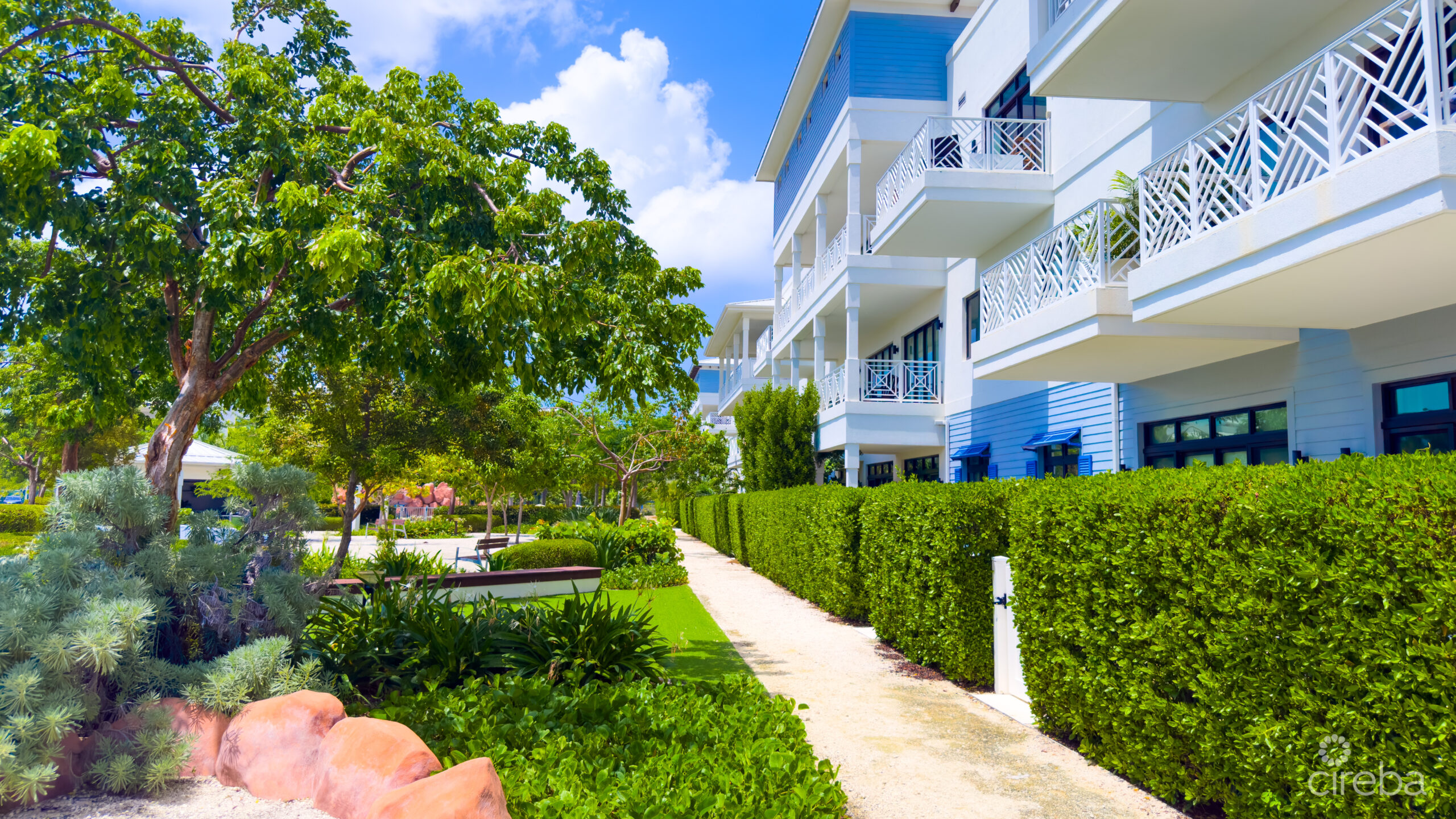 OLEA – 2 BED CORNER CONDO