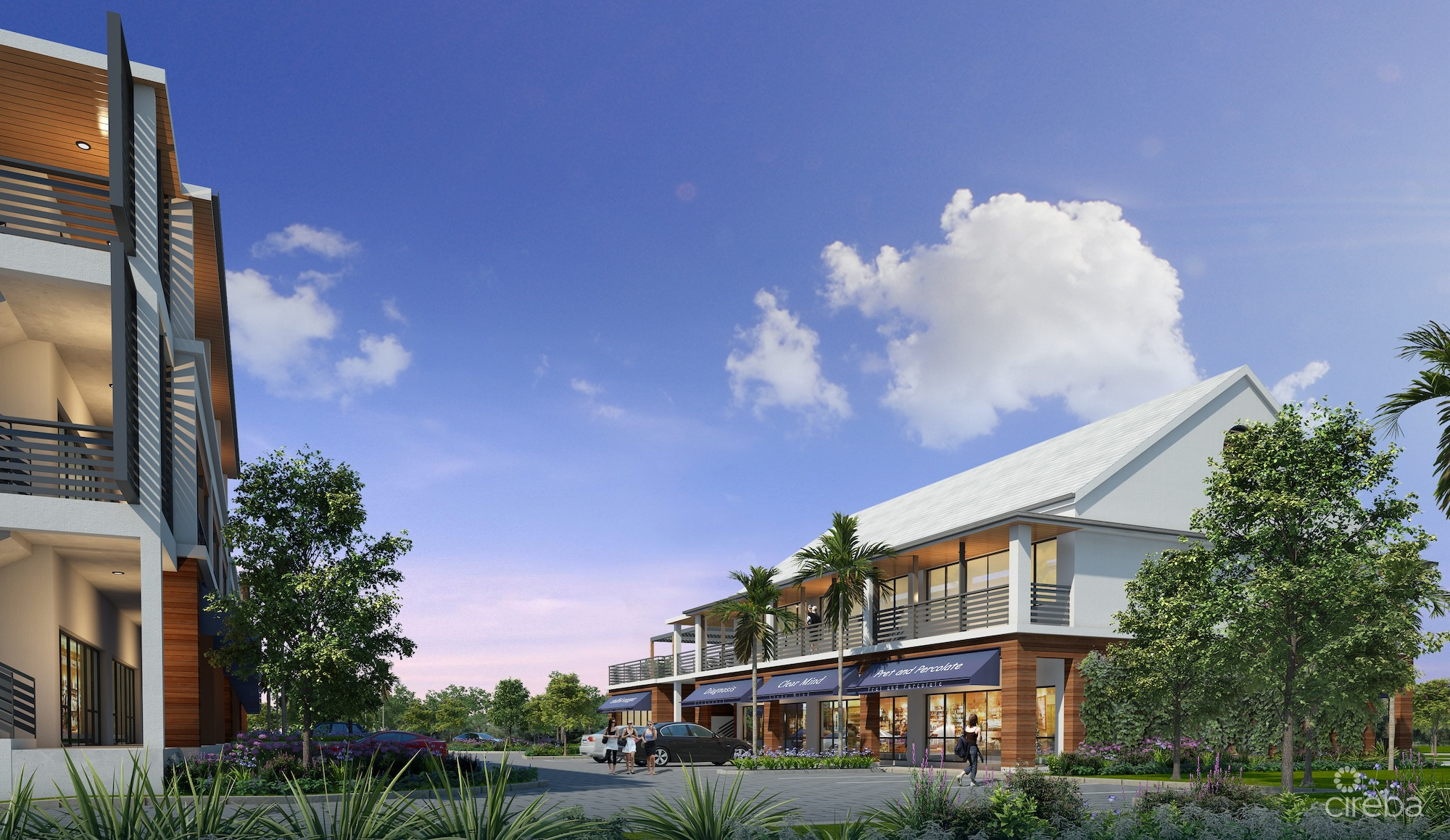 THE SHOPS AT BUTTONWOOD – RETAIL