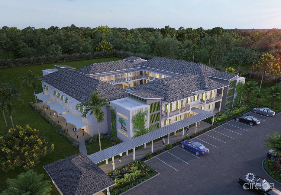 THE SHOPS AT BUTTONWOOD – RETAIL