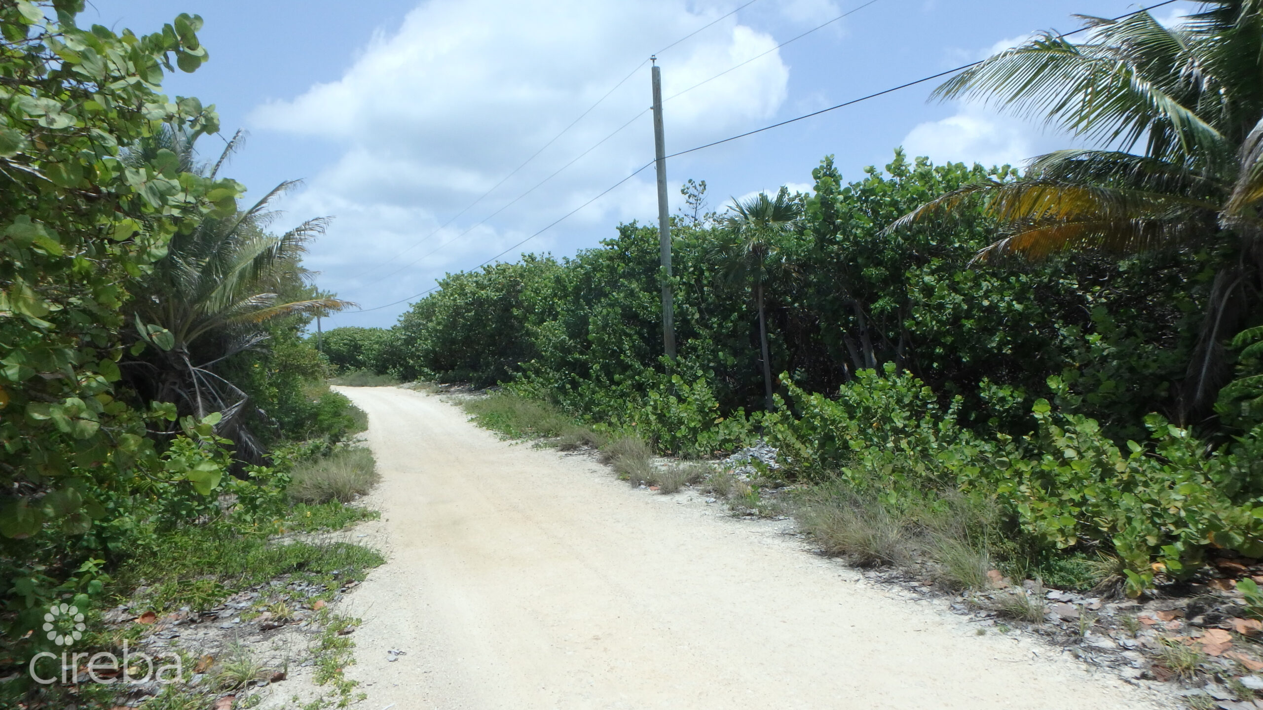 LITTLE CAYMAN NORTH SIDE OCEAN FRONT LAND