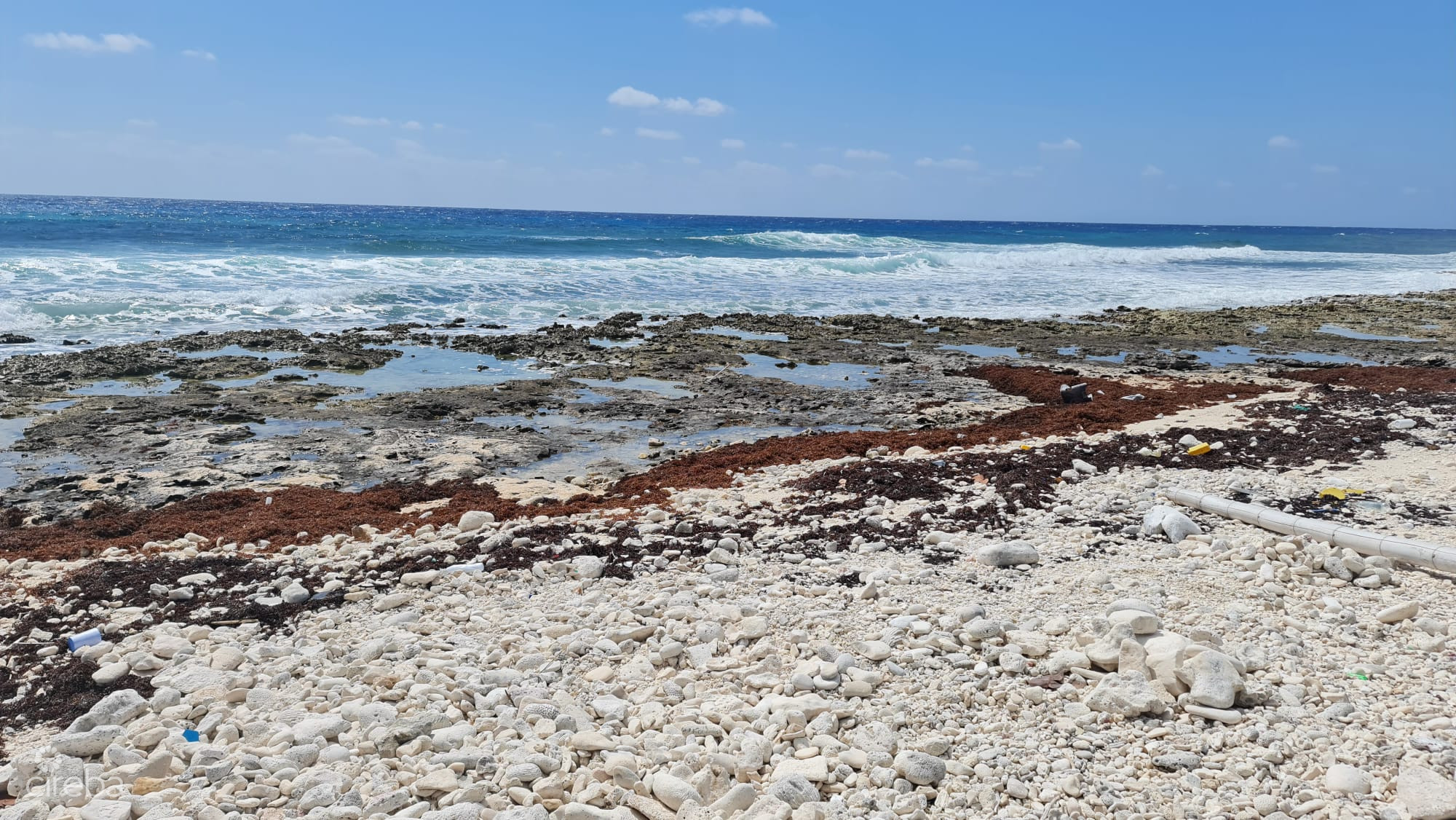 CAYMAN BRAC EAST OCEANFRONT 1.25 ACRES