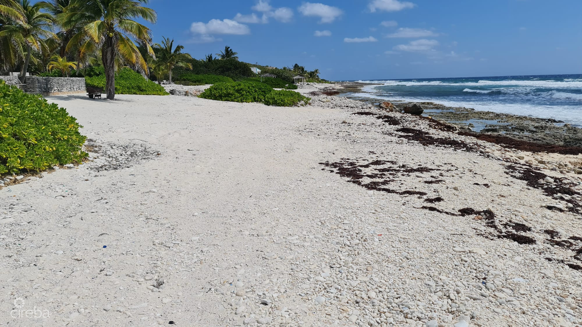 CAYMAN BRAC EAST OCEANFRONT 1.25 ACRES