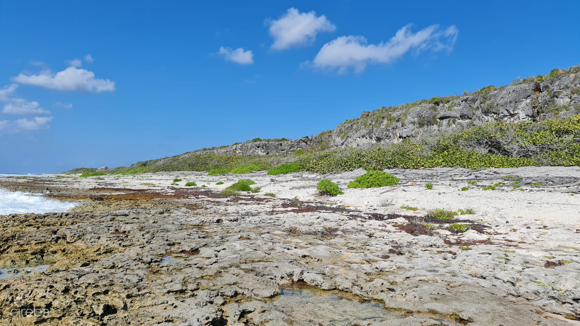 CAYMAN BRAC EAST OCEANFRONT 1.25 ACRES