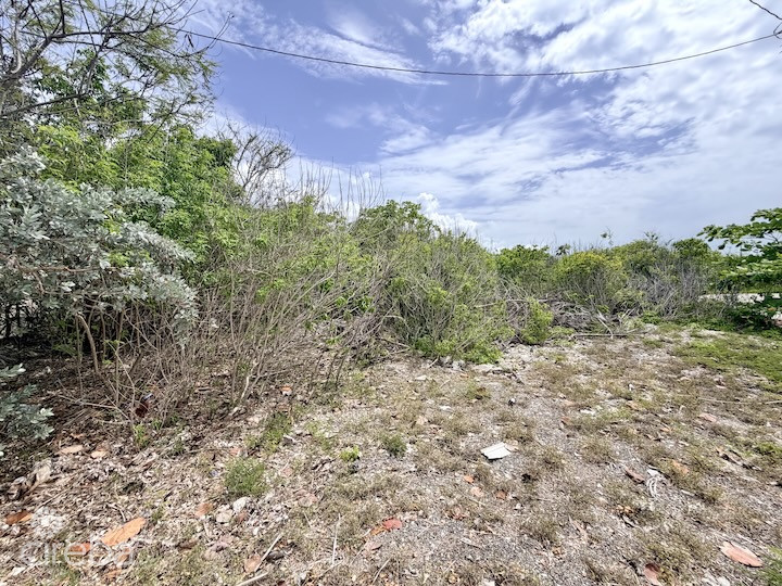 LARGE BEACHFRONT LOT – RUM POINT DRIVE – PERFECT ESTATE PARCEL