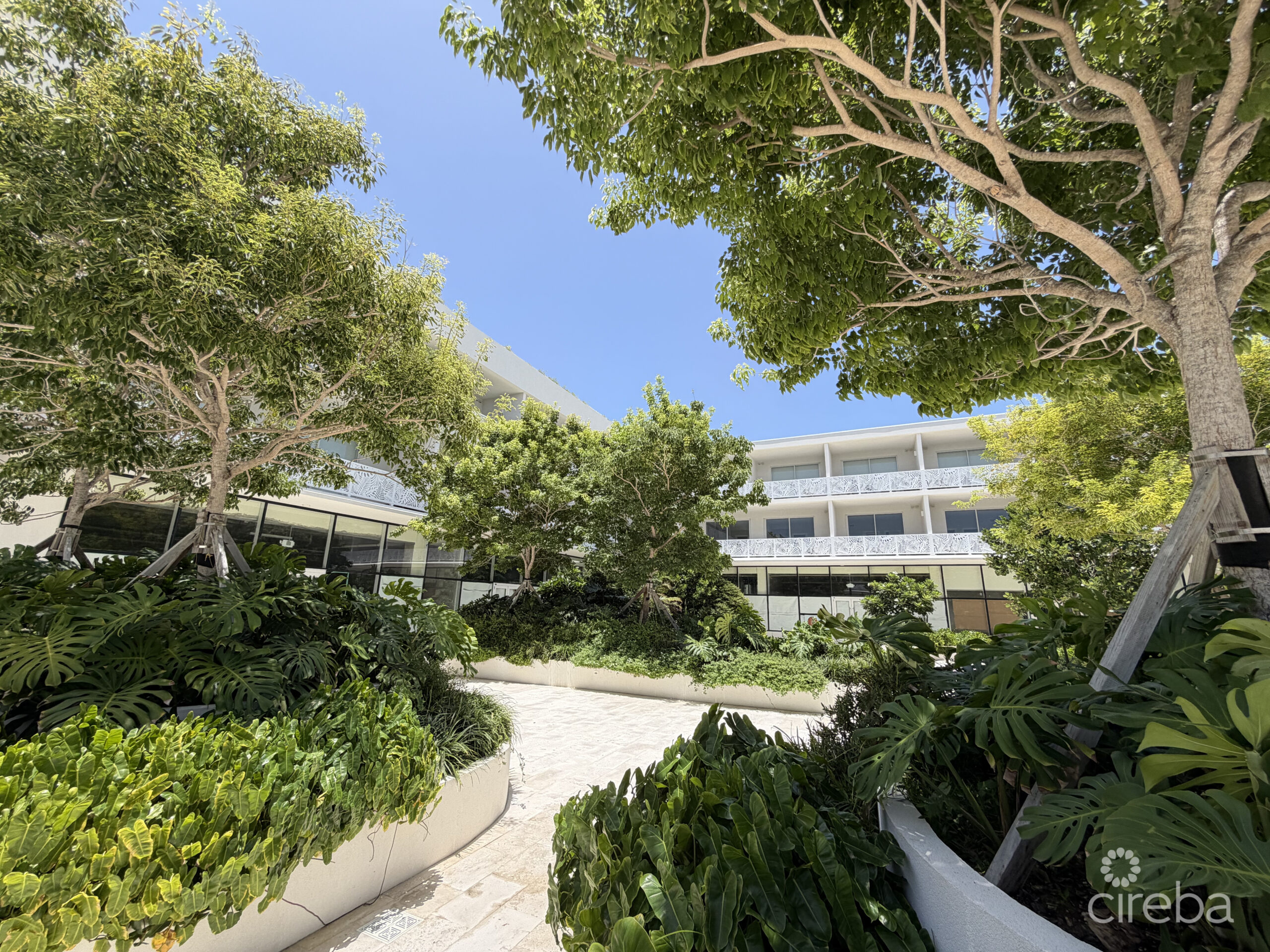 GROVE TOO  COMMERCIAL OFFICE SPACE – RARE CORNER LOCATION
