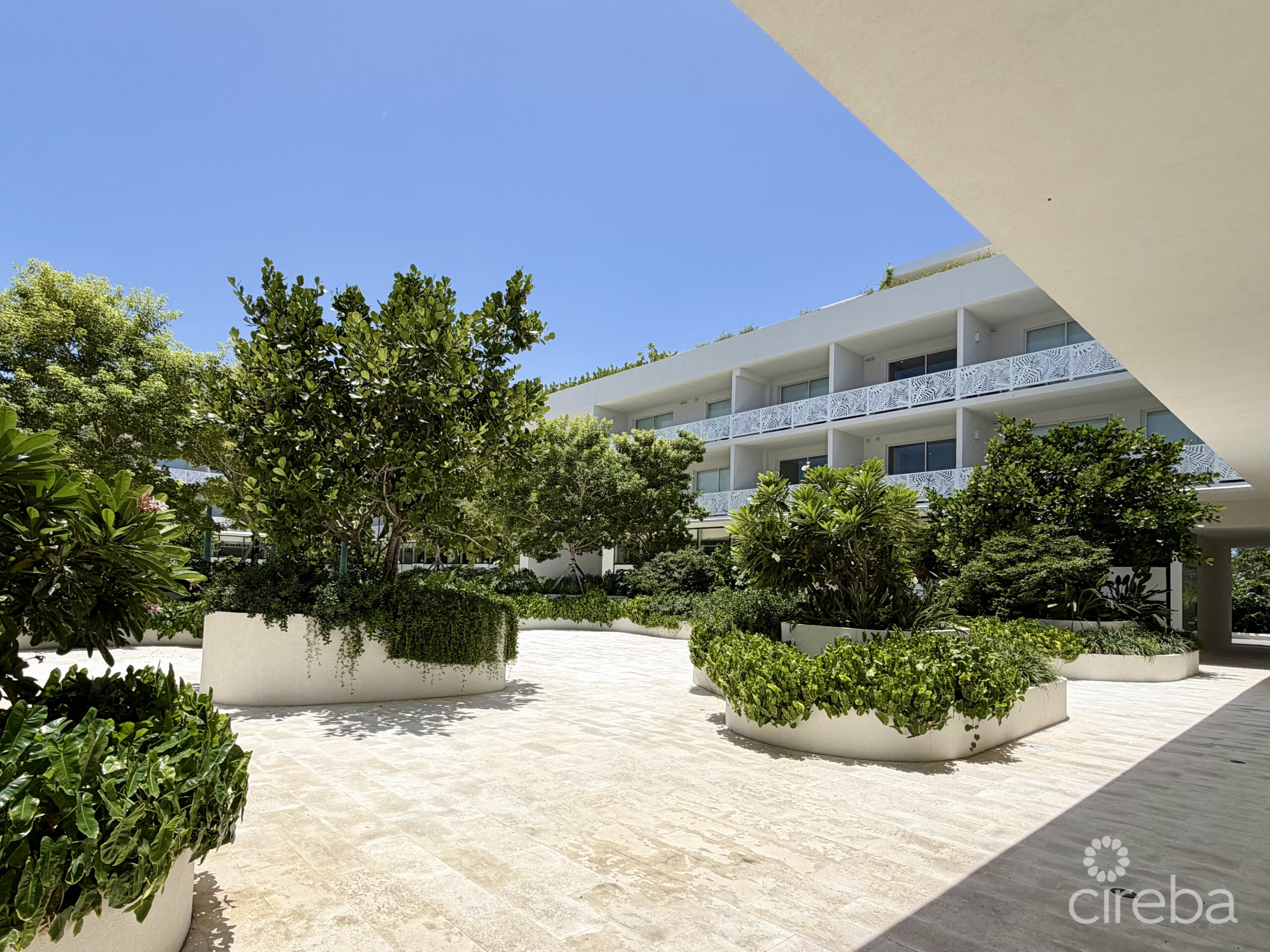 GROVE TOO  COMMERCIAL OFFICE SPACE – RARE CORNER LOCATION
