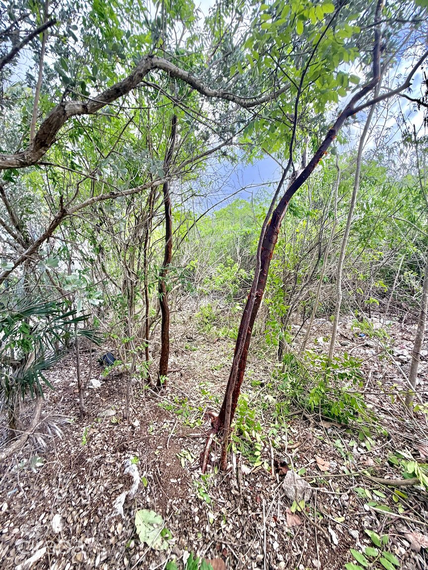 LARGE BEACHFRONT LOT – RUM POINT DRIVE – PERFECT ESTATE PARCEL