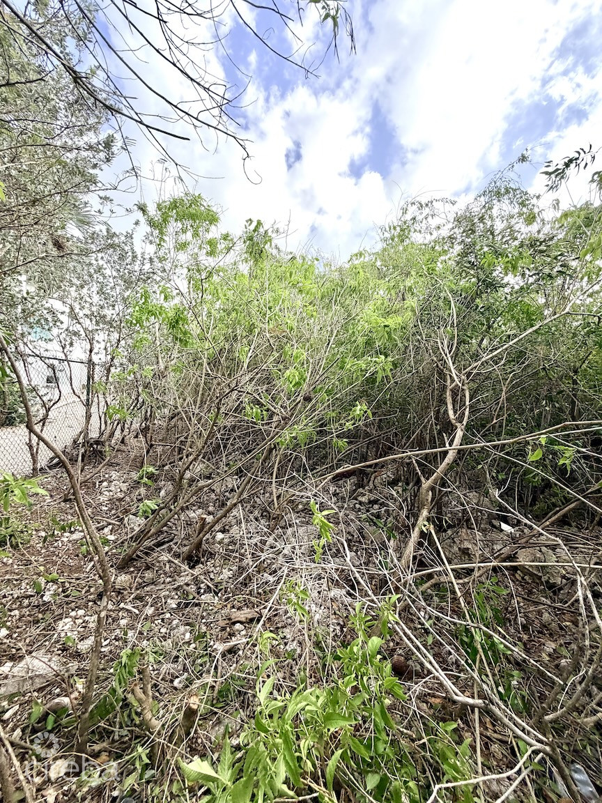 LARGE BEACHFRONT LOT – RUM POINT DRIVE – PERFECT ESTATE PARCEL
