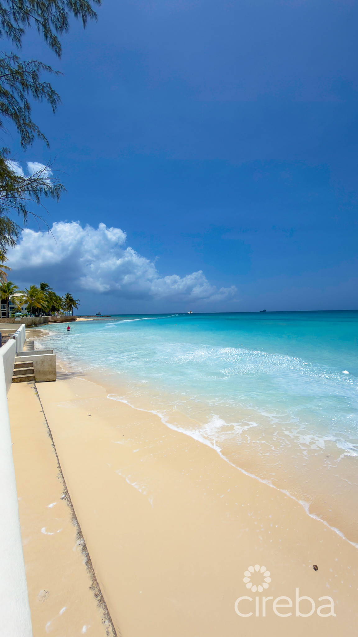 3 BED SEVEN MILE BEACHFRONT CONDO TAMARIND BAY