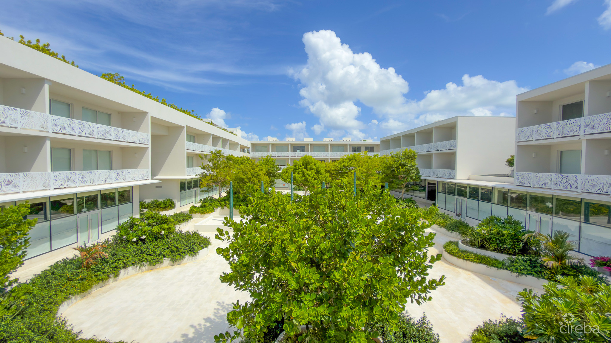 THE GROVE TOO – 1 BED CONDO