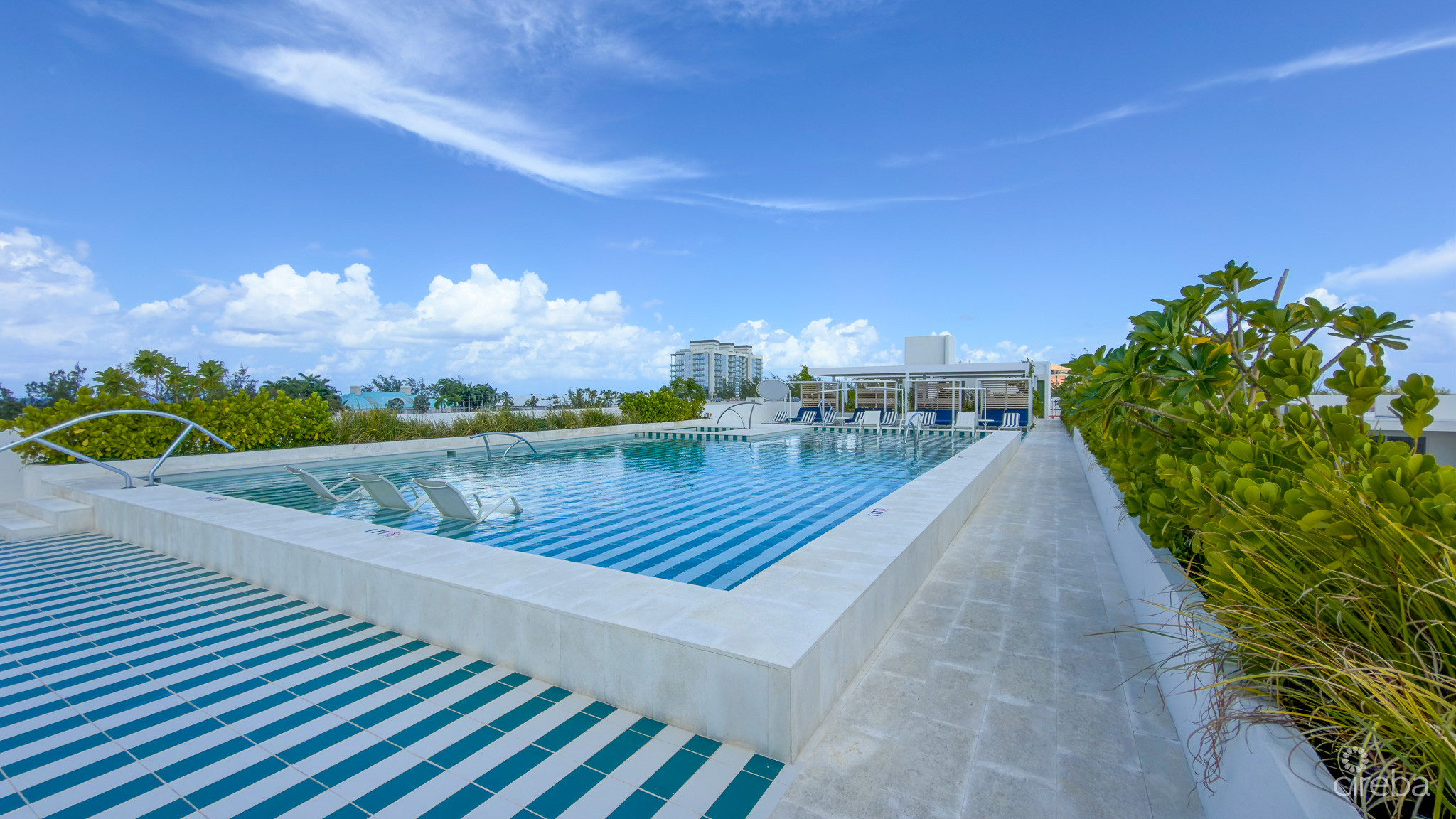 THE GROVE TOO – 1 BED CONDO
