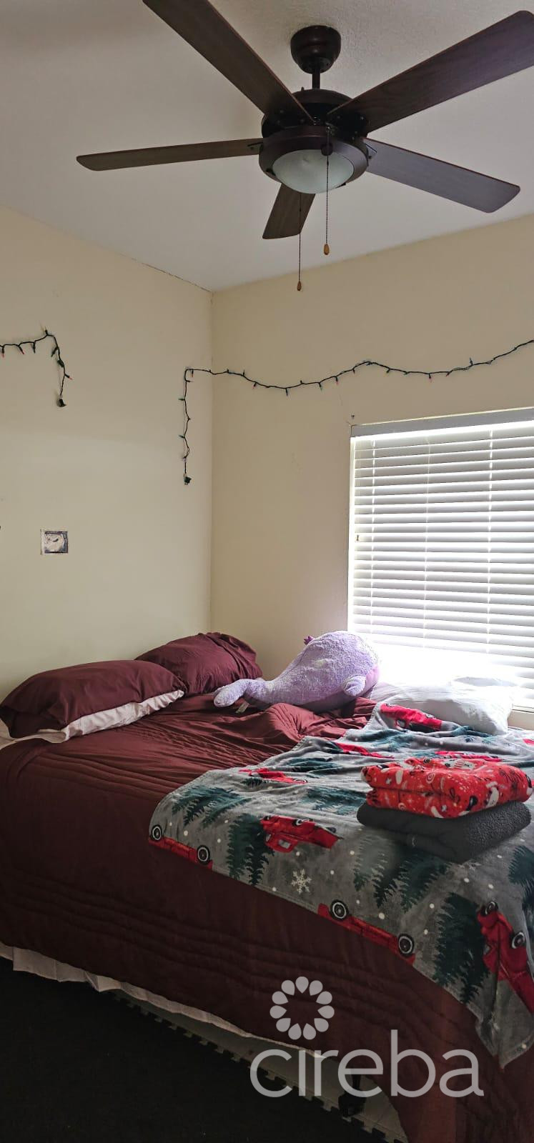 DUPLEX INVESTMENT PROPERTY – AURORA DRIVE, WEST BAY