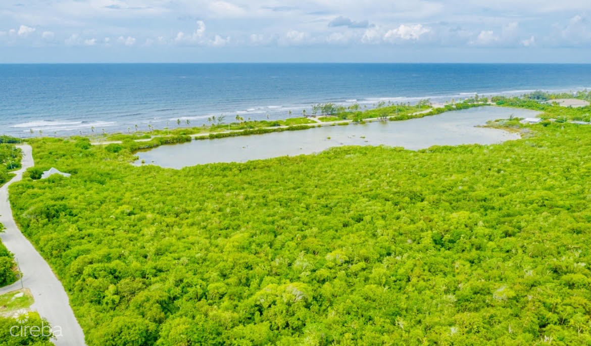 ALEXANDER GROVE SUBDIVISION – CAYMAN BRAC – POND LOT 2