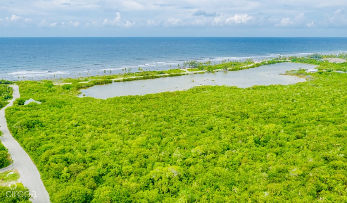 ALEXANDER GROVE SUBDIVISION – CAYMAN BRAC – POND LOT 1