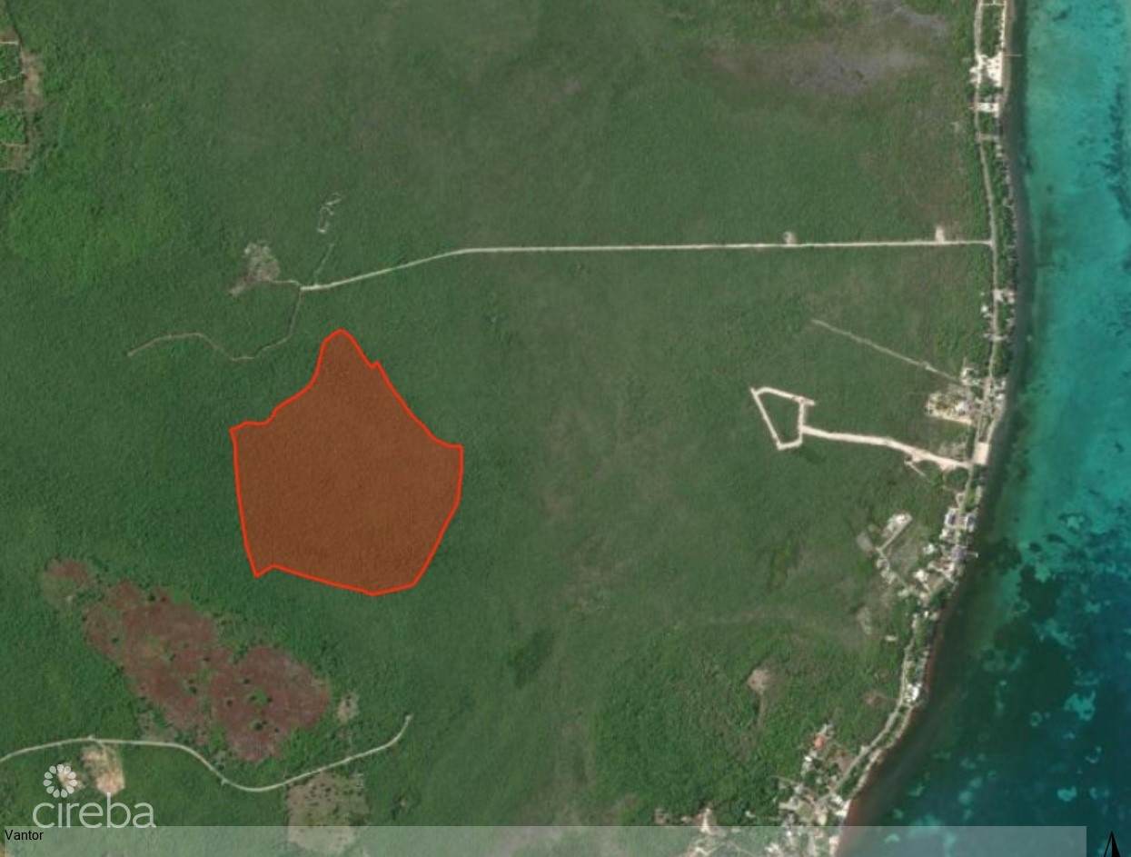 78 ACRES – COLLIERS