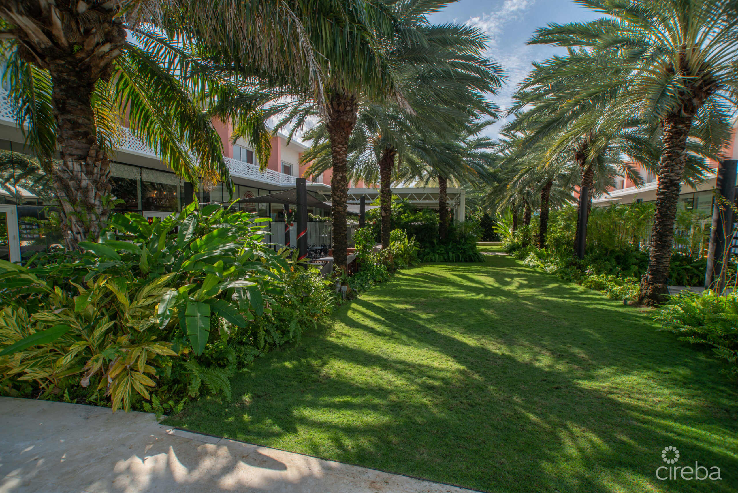STUDIO PARADISUM AT THE GROVE